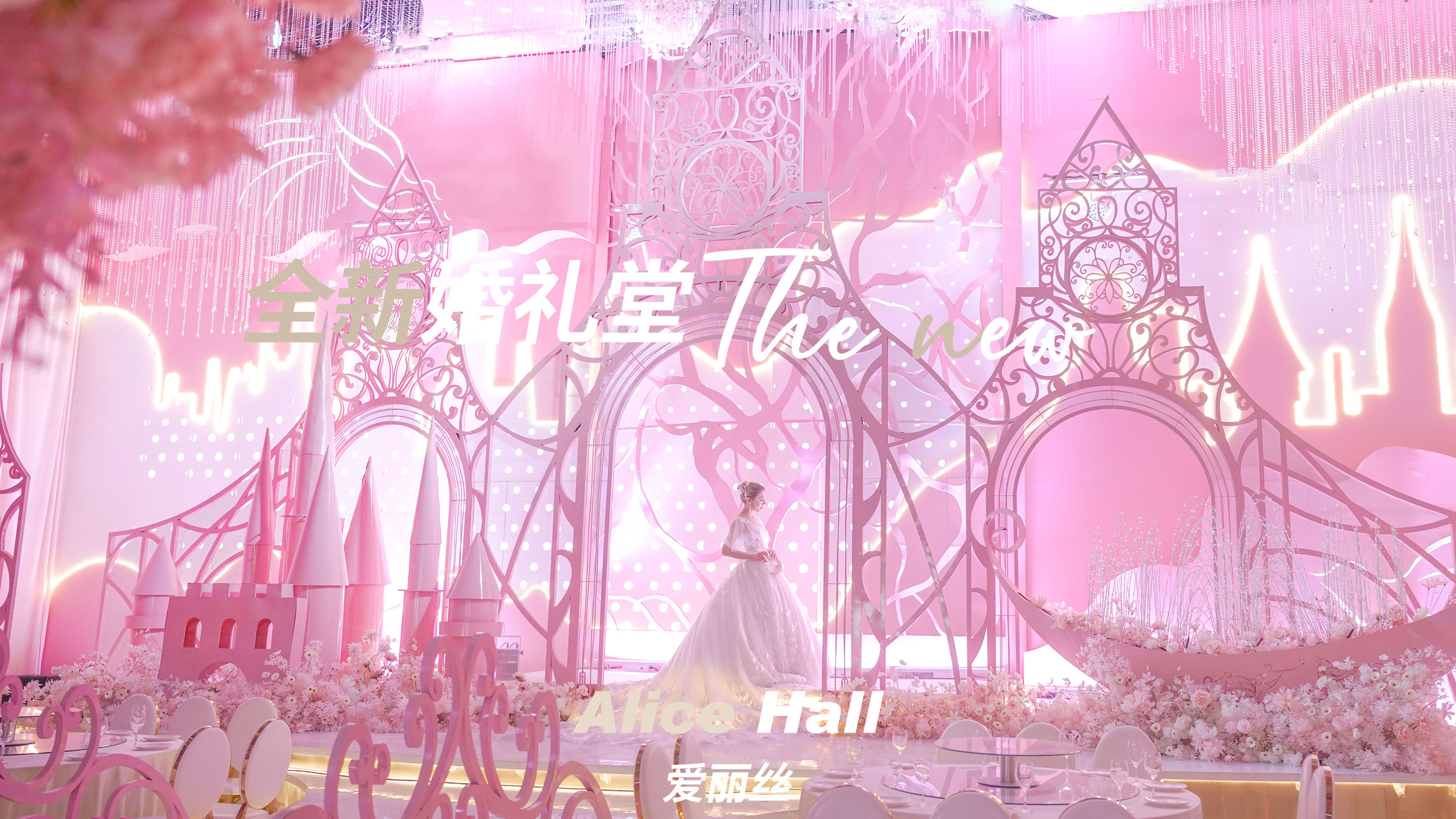 爱丽丝